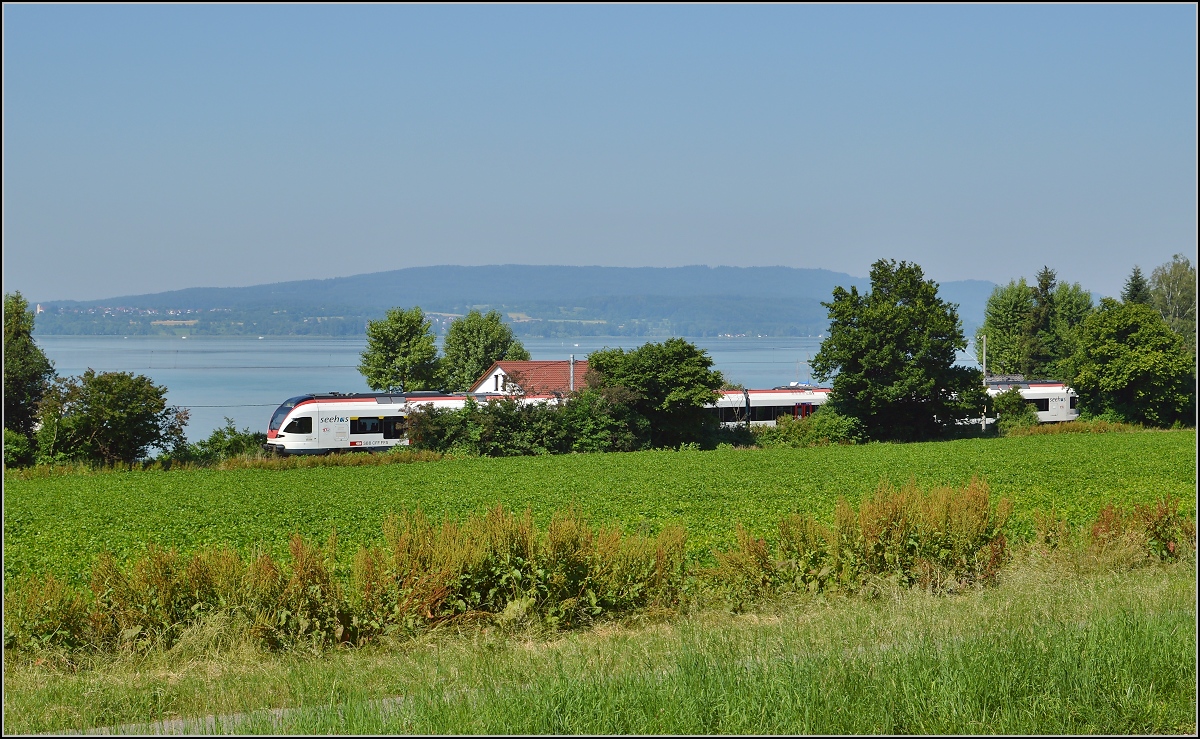 10 Jahre Seehas mit der SBB. 

Freien Blick auf den See gibt es fast nirgendswo, hier bei Allensback gibt es wenigstens ein Blickchen. Juli 2015.