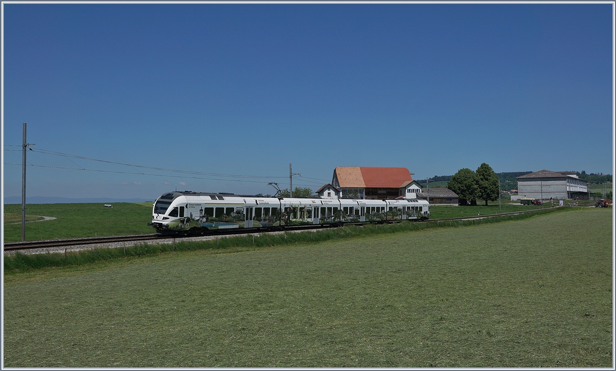 Ausgangs von Sâles, bei Vers chez Seydoux Fährt der TPF RABe 527 198  BCF / FKB  (Kantonalbankwerbezug) in Richtung Romont.

19. Mai 2020