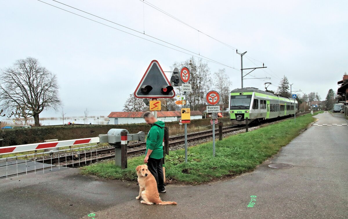 BLS NINA 525 014 als Berner S5 von Bern nach Payerne, hier in Faoug am Murtensee. 6.Januar 2023 