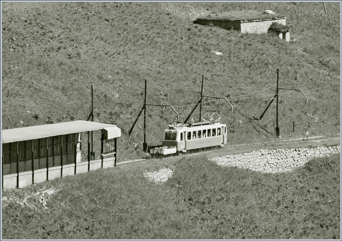 Der Rochers de Naye Bhe 2/4 204 mit den Ehrengästen auf dem Weg zu Gipfel kurz nach Jaman.
1. Juli 2018