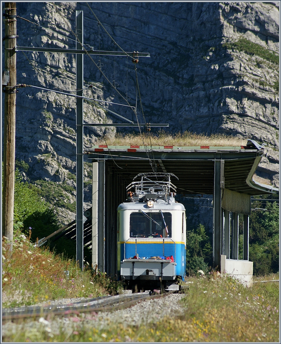 Der Rochers de Naye Bhe 2/4 204 zwischen Jaman und dem Rochers de Naye.
1. Juli 2018