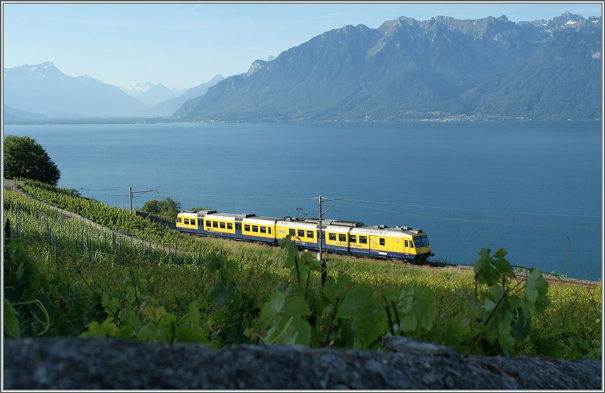 Der  Train des Vigens  in den Weinreben bei Chexbres. 
29. Mai 2011