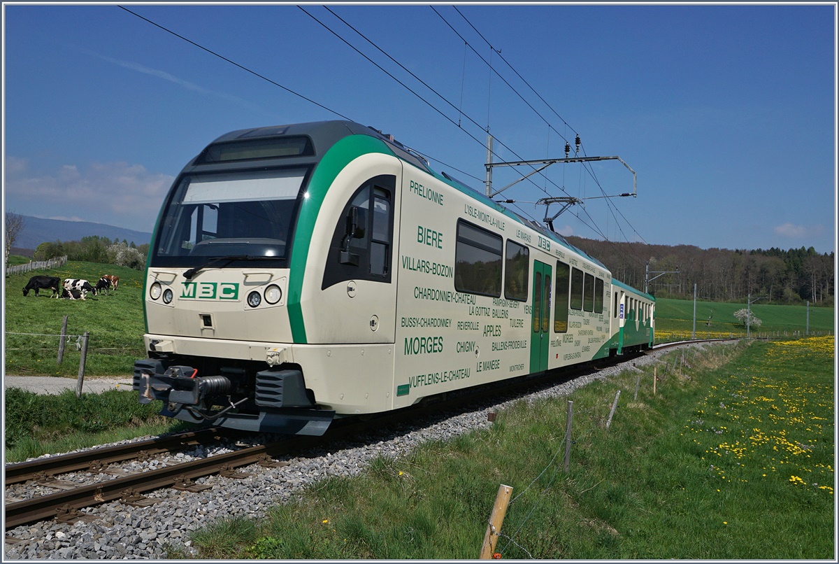 Die BAM MBC bedient die Strecke Apples L'Isle mit einer Fahrzeit von vierzehn Minuten im Stundentakt. In der Hauptverkehrszeit am Morgen und Mittag wird der Halbstundentakt angeboten, damit dies mit in Ermangelung an Kreuzungsstation mit einer Komposition bewerkstelligt werden kann, hält der Zug unterwegs nur in Pampigny-Sévery und Montricher, so dass bei einer Fahrzeit von nun dreizehn Minuten der Zug eine Stunde lange ständig hin und her pendelt. Das Bild zeigt den Regionalzug 529, bestehend aus Be 4/4 35 und Bt 54, der in Kürze sein Ziel Apples erreicht.
10. April 2017