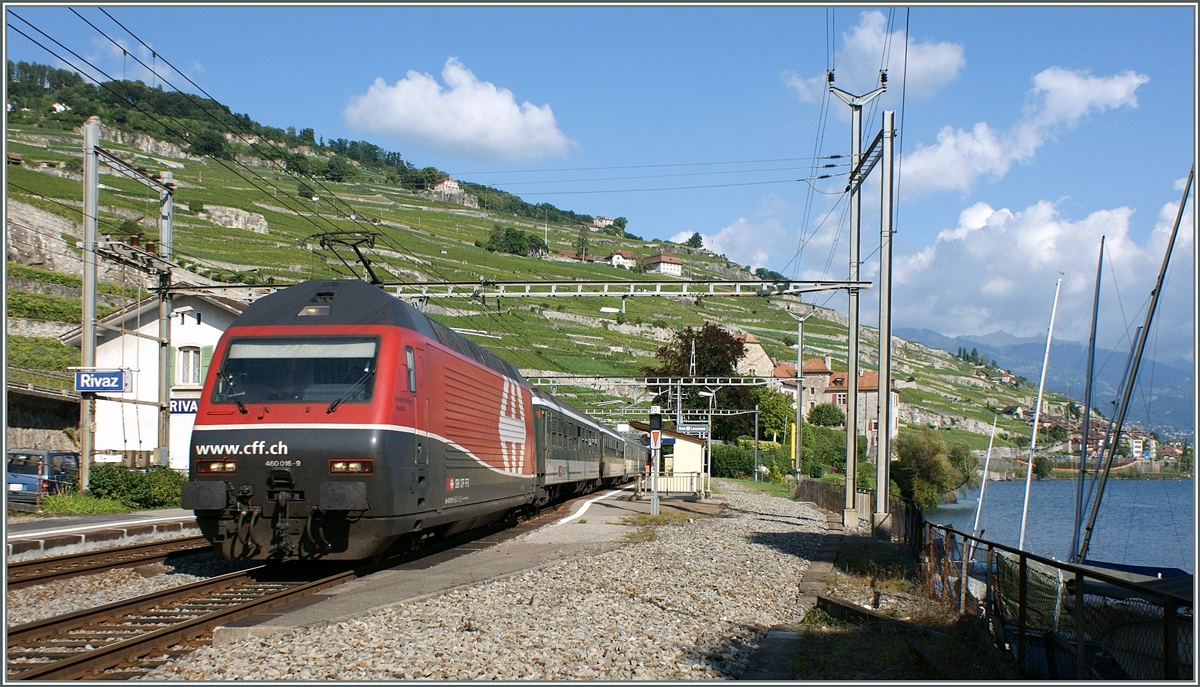 Die Re 460 016-9 in der Versuchslakieurng, wie sie für alle Re 460 vorgesehn war, jedoch aus verständlichen Gründen nicht angewandt wurde.
Rivaz, den 19. Sept. 2008