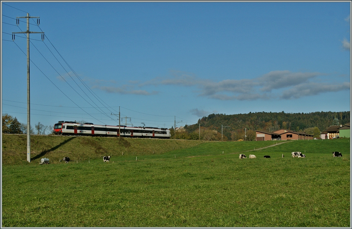 Ein Domino auf der Fahrt Richtung Payern kurz nach Palèzieux Village. 
30. Okt. 2013