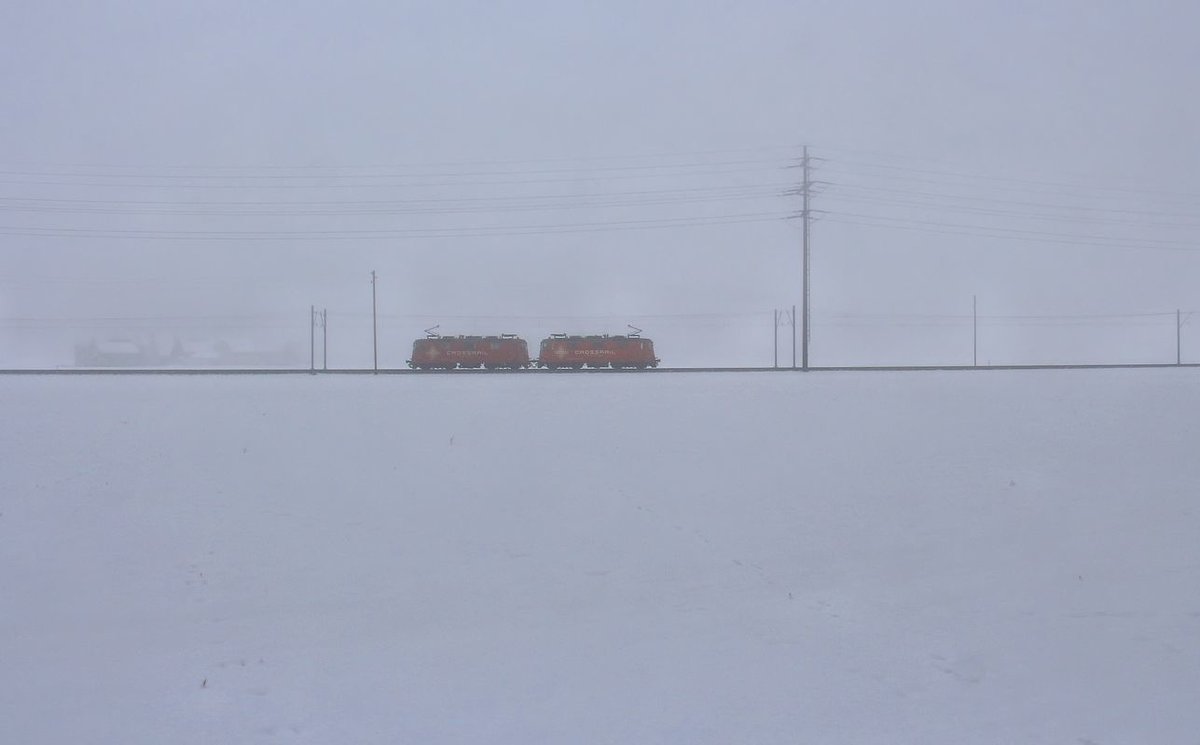 Ein kalter Tag an der Bahnlinie Bern-Thun: Zwei Crossrail-Re4/4 III im Nebel. 23.1.17