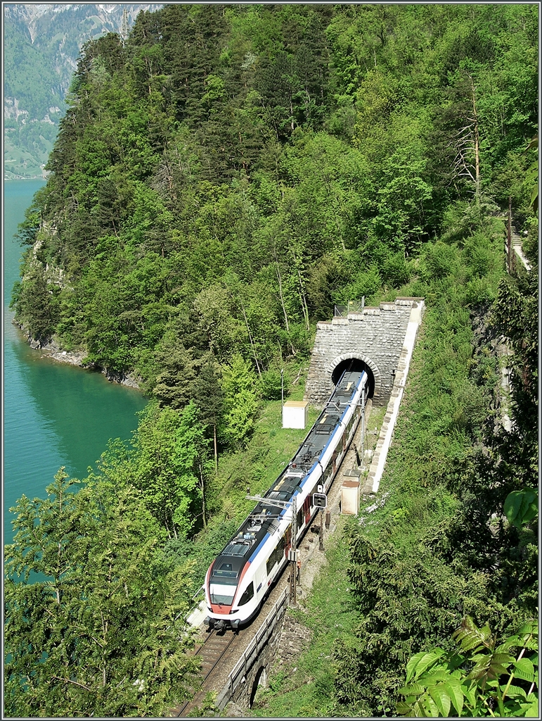 Ein Zuger-Stadtbahnflirt zwischen Fluelen und Sissikon. 
9. Mai 2008
