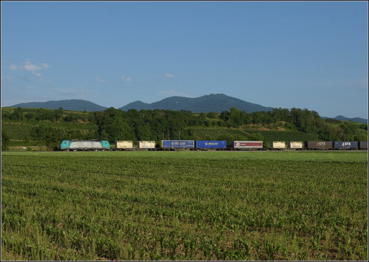Hochhackig stackst die Belgierin (91 88 7) 186 218 im Besitz der luxemburgischen ATLU vor dem Blauen nordwärts daher. Buggingen, Juni 2022.