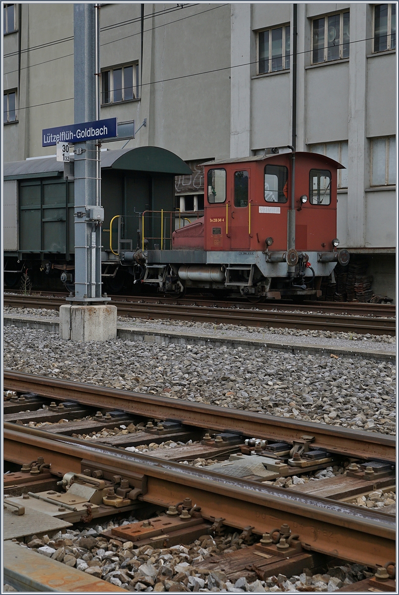 Im Bahnhof von Lützelflüh-Goldbach steht einer der noch wenigen verbleinen einst so zahlreichen  Stationstraktoren  Tm I mit der Nummer 236 341-4; allem Anschein nach scheint diese  Spitzmaus  in recht gutem Zustand hin und wieder im Einsatz zu sein. 

21. Sept. 2020