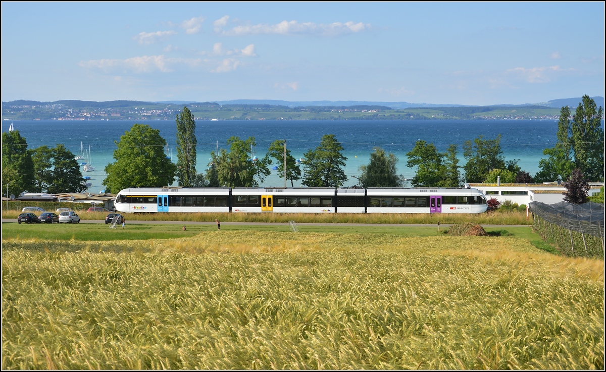 Ins rechte Licht gesetzt macht auch ein GTW was her. 

Thurbo GTW 2/8 in Landschlacht. Juni 2014.