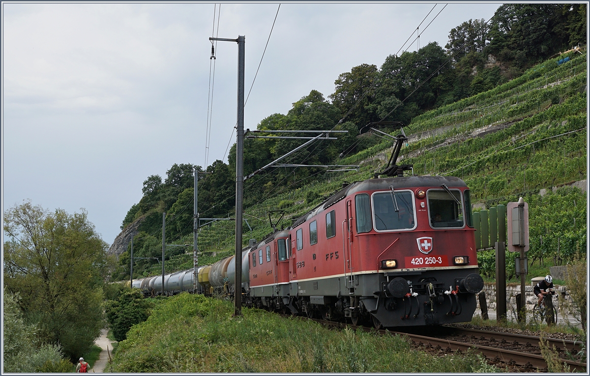 Mit zwei Re 4/4II (Spitzenlok ist die Re 420 250-3 fährt kurz vor Twann ein Kesselwagenzug Richtung Biel/Bienne.
31. Juli 2017