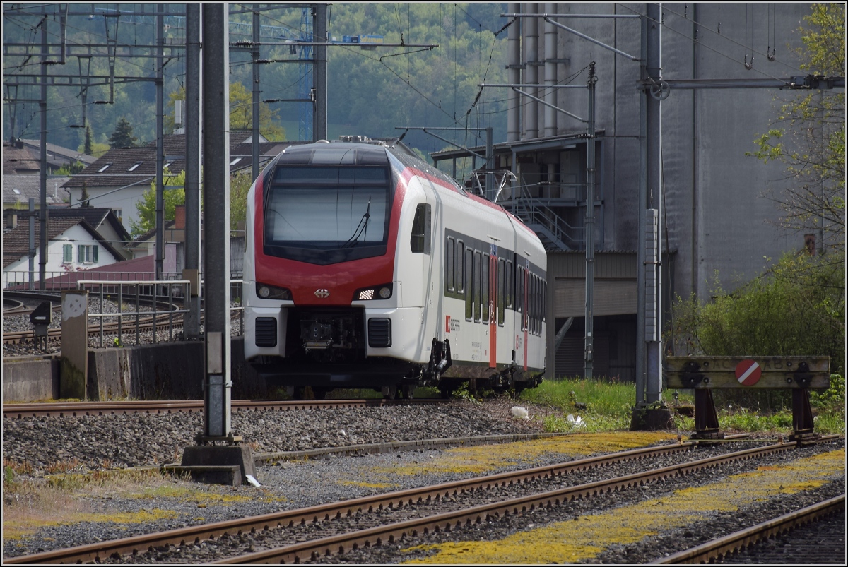 Mouette versteckt in Frick. 

Der nigelnagelneue RABe 523 503 ist auf einem Gleisanschluss in Frick geparkt. April 2022.