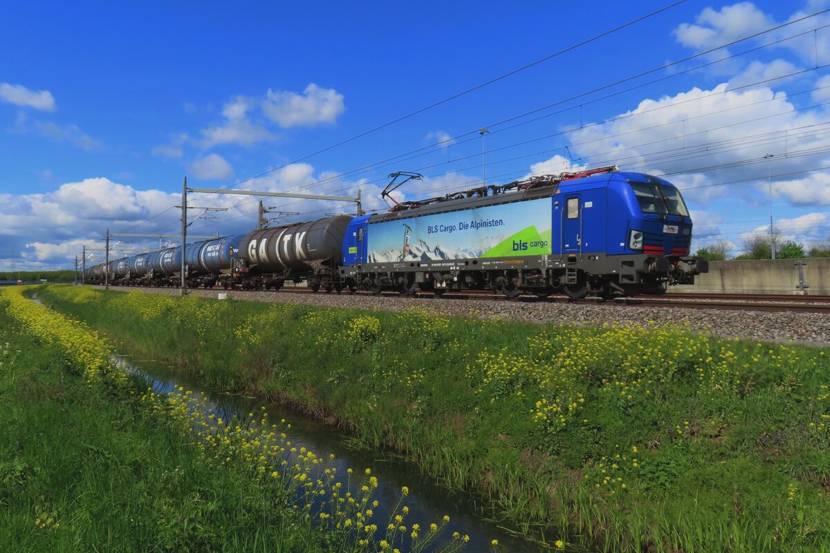 Trecate ist die Bestimmung dieser Kesselwagenzug mit BLS 193 497 beim Passage durch Valburg am 18 April 2024.