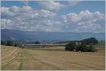 Der TGV Lyria 9261 von Paris Gare de Lyon nach Lausanne oberhalb von Arnex auf der Fahrt durch die hügligen Jurasüdfuss Landschaft.