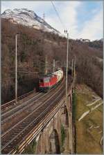 Die Re 4/4 11150 mit einem kurzen Güterzug kurz vor Preglia.