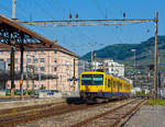 Es waren die letzte Tage des  Train des Vignes  und der sch�ne Zug hat eine Neubearbeitung meiner Bilder, so finde ich, verdient.