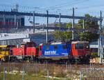 Die SBB Cargo Re 4/4 II – 11228  / Re 420 288-3  „Avanti Tutta! / Vorwärts.“ (91 85 4420 288-3 CH-SBBC) steht am 11 September 2023, bei Bern. An (hinter) der Re 4/4 hängen: Die Am 841 018-5 (Am 92 85 8 841 018-5 CH-SBBI) der SBB Infrastruktur; die kontinuierlich arbeitende Schotterplanier- und Verdichtungsmaschine SCHEUCHZER DP 956 (VTms 40 85 95 81 096-6) eine P&T KVP 2000; sowie einigen Güterwagen. Bild aus einem Zug durch die Scheibe.

Die Re 4/4 II wurde 1972 von der SLM (Schweizerische Lokomotiv- und Maschinenfabrik) in Winterthur unter der Fabriknummer 4934 gebaut, die elektrische Ausrüstung ist von der BBC (Fabriknummer 784), MFO (Maschinenfabrik Oerlikon) und SAAS (Société Anonyme des Ateliers de Sécheron). Die Lok ist heute mit  ETCS Level 2 ausgerüstet. 

Seit 2017 hat die Lok Voith CargoFlex Hybrid Frachtkupplungen (auch als Digitale Automatische Kupplung DAK bekannt).

Die Hybridkupplung wurde speziell für Lokomotiven entwickelt und mit einer Gemischtzugkupplung ausgestattet. Sie ermöglicht ein automatisches Kuppeln und Entkuppeln von Güterwagen mit CargoFlex Kupplungen vom Typ Scharfenberg, bei Wagen mit Schraubkupplungen (UIC-Zughaken) wir die Kupplung um 90°nach oben geschwenkt und so kann Zughaken manuell gekuppelt und zusammen mit den Seitenpuffern eingesetzt werden.

Zusatzausstattungen für die Kupplung sind:
• Heizelemente für Zylinder und Stirnfläche
• Sensoren zur Erfassung des Kuppelzustandes
• Luftkupplung zur Hauptluftbehälterleitung
• Betätigungseinrichtung für automatisches Entkuppeln

Endlich automatisiert:
Nach 150 Jahren ist ein Ende in Sicht für das manuelle Kuppeln im Güterverkehr. Es ist zeitaufwendig und bringt viele Risiken und Nachteile mit sich. Die Voith CargoFlex Typ Scharfenberg ändert den Status quo. Seit Mai 2017 muss sich diese automatische Frachtkupplung in einem ersten Langzeitversuch bei der SBB Cargo bewähren. So fahren seitdem 25 Loks und 100 Güterwagen erfolgreich mit der automatischen Frachtkupplung. Die Lok besitzen die Hybrid-Kupplung, damit sie sowohl Wagen mit der automatischen Frachtkupplung als auch Wagen mit Schraubkupplungen und Seitenpuffern kuppeln kann.

Eine flexible Lösung für den Schienengüterverkehr:
Die Voith CargoFlex ist ein modulares System für den europäischen Schienengüterverkehr. Auf Basis der Scharfenbergkupplung Typ 10 können Güterzüge schnell und automatisch gekuppelt werden. Die Kupplung ist auf Einbauräume nach UIC 530 und auf Fahrzeuge nach TSI abgestimmt. Energieverzehrkomponenten und ein Stabilisierungsgelenk ermöglichen eine erhöhte Sicherheit und geringeren Verschleiß. Zusatzkomponenten erlauben eine weitere Automatisierung der Betriebsabläufe.

Aber der gesamte Güterverkehr wird wohl nicht über Nacht auf diese automatische Kupplung umgestellt sein. Zudem müsste dies dann in ganz Europa geschehen, da viele Güterwagen in ganz Europa unterwegs sind. Aber auch die DB Cargo, GATX, Green Cargo, VTG, ermawa, RailCargo sind in dem Projekt beteiligt und testen die Kupplung bereits.

Die Vorteile liegen aber auf der Hand: 
• Erhöhte Arbeitssicherheit durch Vermeidung von Unfällen.
• Automatisierung, durch das automatische Kuppel und Entkuppeln, somit ist eine voll automatische Zugbildung möglich.
• Ertragserhöhung bzw. Kosteneinsparung.
• Erhöhte Transportfähigkeit, der Einsatz längerer und schwererer Züge ist möglich.
• Beschleunigte Zugbildung und Rangierabläufe

Die Technischen Vorteile sind:
• Entfall der Seitenpuffer
• Gewichtsoptimierung /-einsparung der Wagen
• Geringe Geräuschbildung 
• Geringer Rad-Schiene-Verschleiß
• Basis für Integration weiterer Innovationen (Datenübertragung / Stromversorgung)
