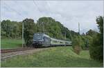 Die BLS Re 465 006 ist bei Les Geneveys sur Coffrane mit ihrem EW III RE auf dem Weg nach Bern.