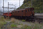 Depotfest Olten 2023. 

Die mittlere S�cheron Ae 3/6 III 10264 auf dem Nachhauseweg. August 2023.

Und diese Fahrt dokumentierte Stefan noch in Lausanne: http://igschieneschweiz.startbilder.de/bild/schweiz~strecken~100-lausanne-brig-rhonetalstrecke/839130/die-ae-36-10264-ist-in.html
Somit ist auch das Versprechen in meinem Kommentar eingel�st...
