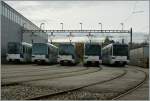 Ein schlechtes Jahr für die Bem 550/558   Zwischen La Plaine und Genève verlieren die SBB Bem 550 ihr Gleichstrom-Einsatzgebiet und die  m1  der TL wird infolge Bauarbeiten diesen Sommer im