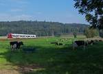 TPF: Regionalzug Fribourg-Neuch�tel zwischen Courtpin und Pensier am 29.