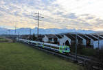 Zugsvielfalt bei Sonnenuntergang an der Bahnstrecke Bern-Thun: Ein NPZ der BLS, hier auf Dienstfahrt ohne Fahrgäste.