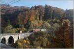 La DER 2021 (Saison Abschluss 2021) - Der Bernina Bahn RhB ABe 4/4 I 35 der Blonay-Chamby Bahn ist bei Vers-Chez-Robert auf der Fahrt nach Blonay.
