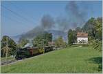  Le Chablais en fête  bei der Blonay Chamby Bahn.