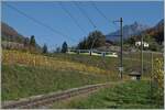 Der TPC ASD ABe 4/8 472 ist in den Weinbergen oberhalb von Aigle auf dem Weg nach Aigle.