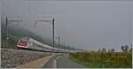In der Nähe von Schafis sind zwei SBB RABDe 500 als IR5 1519 auf der Fahrt von Lausanne nach St. Gallen Wage ist im Hintergrund die Baustelle für den Neubautunnel bei Ligerz zu erahnen. 

8. Okt. 2025