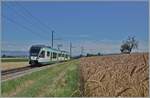 Der LEB RBe 4/8 N° 48 ist als R20 zwischen Bercher und Fey auf dem Weg nach Cheseaux mit Anschluss nach Lausanne per SEV infolge Sommerbauarbeiten. Die 24 km langen Strecke der LEB beginnt in der  Grossstadt  Lausanne und endet im ländlichen, wenig dicht besiedelten Bercher im Gros-de-Vaud, der Kornkammer des Kanton Waadts. 


12. Juli 2025 